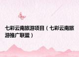 七彩云南旅游项目（七彩云南旅游推广联盟）