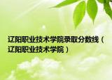 辽阳职业技术学院录取分数线（辽阳职业技术学院）