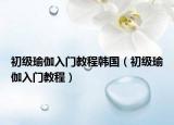 初级瑜伽入门教程韩国（初级瑜伽入门教程）