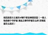 现在的圣斗士星矢ol哪个职业单挑厉害（一级人物选哪个守护星 海龙之魂守护星怎么样 还有就是怎么加点）