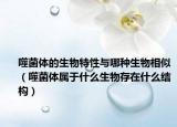 噬菌体的生物特性与哪种生物相似（噬菌体属于什么生物存在什么结构）