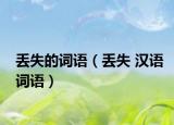 丢失的词语（丢失 汉语词语）