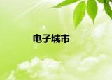 电子城市