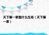 天下第一家是什么生肖（天下第一家）