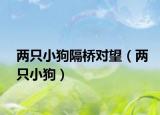 两只小狗隔桥对望（两只小狗）