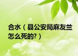 合水（县公安局麻友兰怎么死的?）