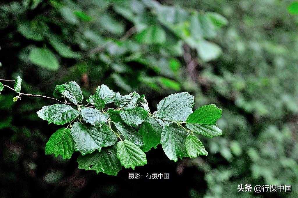 周末沈阳周边游攻略：鲜为人知的棋盘山穿越路线
