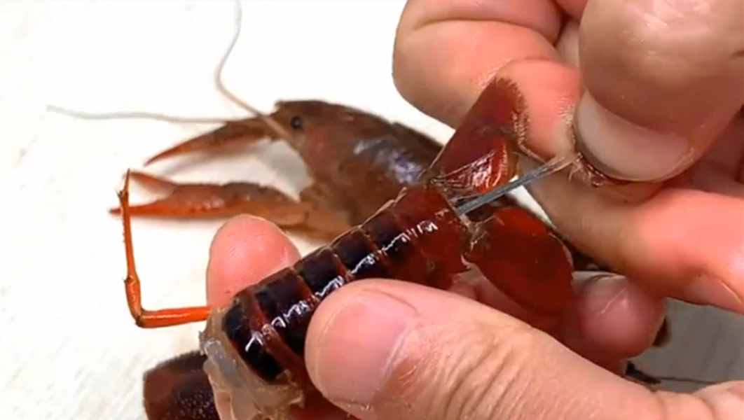 清水洗小龙虾和没洗一样脏，教你简单一招，脏东西自动跑光光