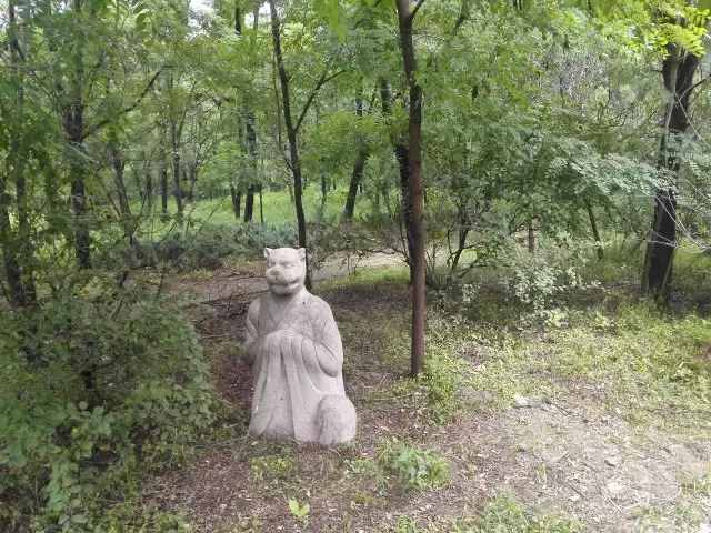 自驾大兴，这个森林公园竟如此特殊，附近吃住玩更是绝了！