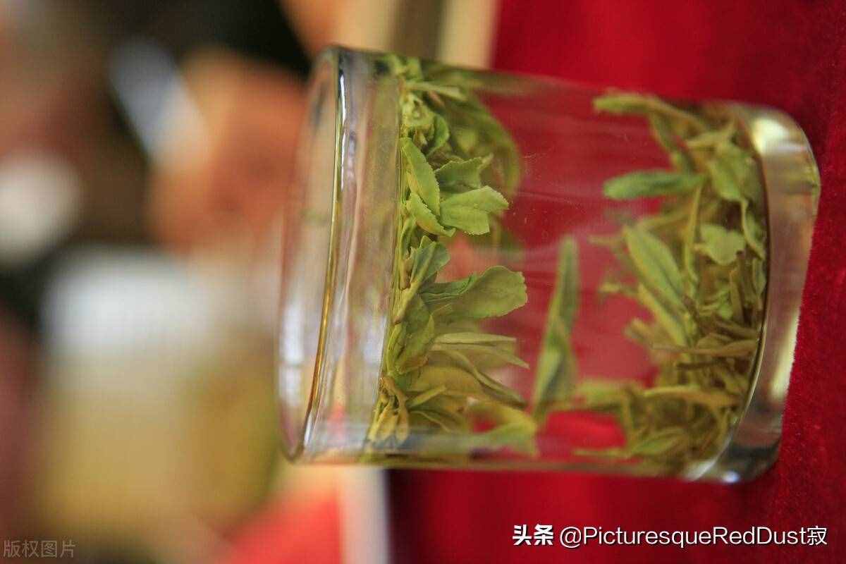 龙井茶的冲泡