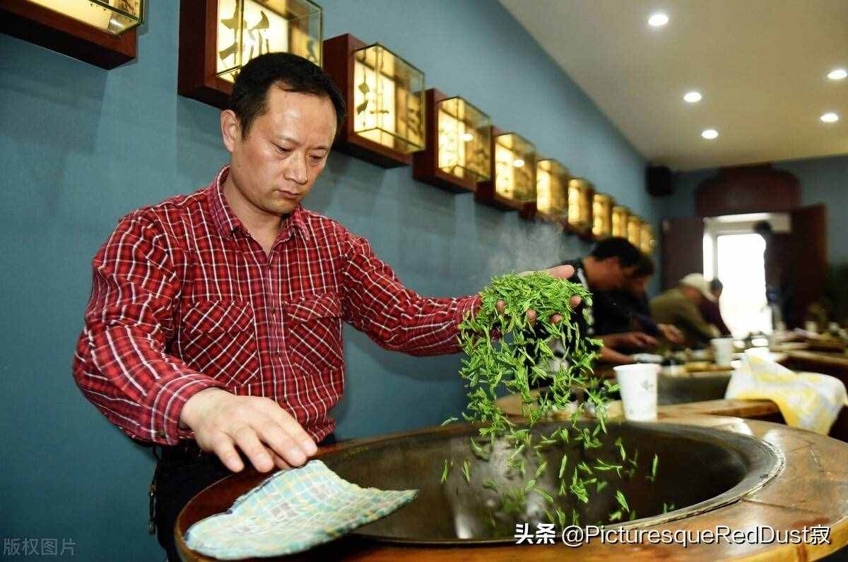 龙井茶的冲泡