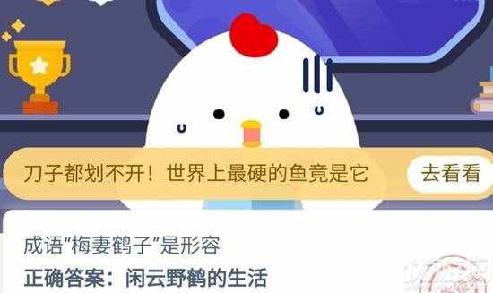 我们经常饲养的宠物龙猫是猫吗 为什么不是 蚂蚁庄园19今日答案