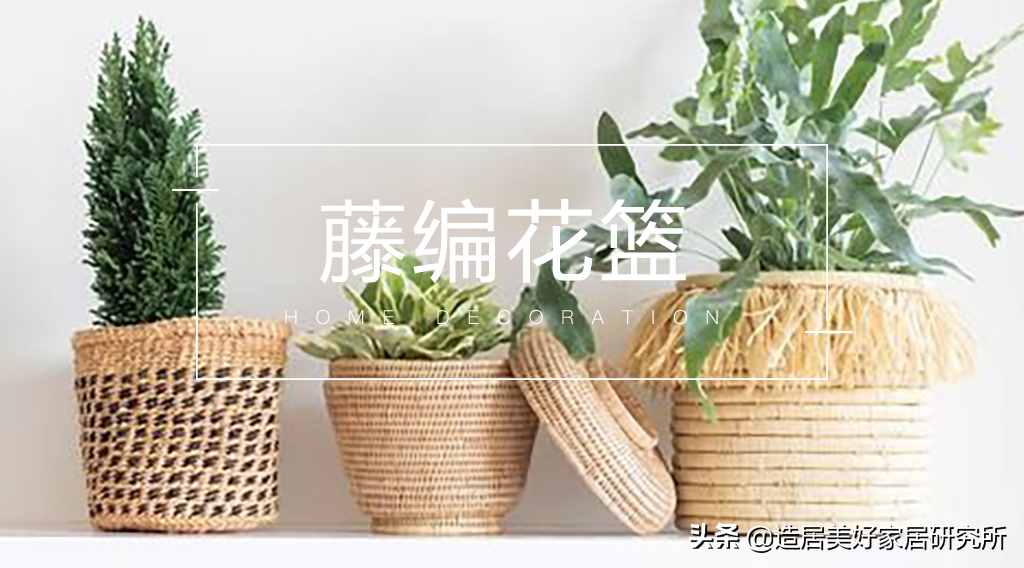藤编花篮，让花草绿植成为一门艺术