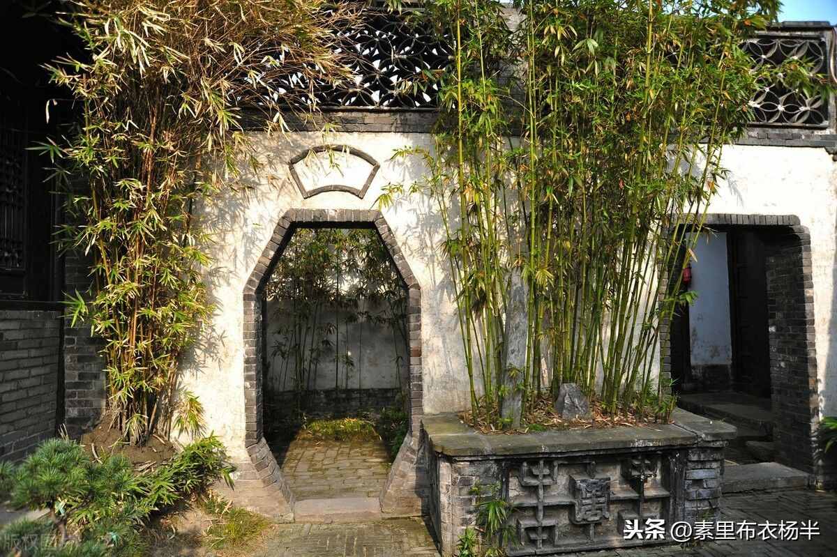 郑板桥的竹诗太迷人，来一起欣赏吧