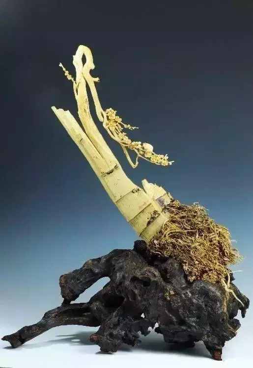 秋人老师竹雕，打开另一个雕刻新世界