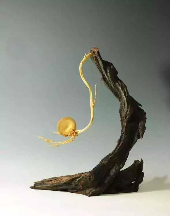 秋人老师竹雕，打开另一个雕刻新世界