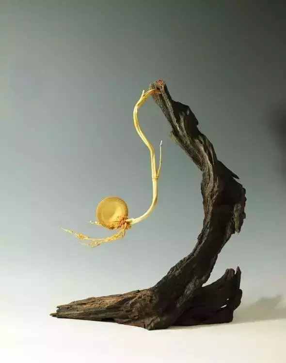 秋人老师竹雕，打开另一个雕刻新世界