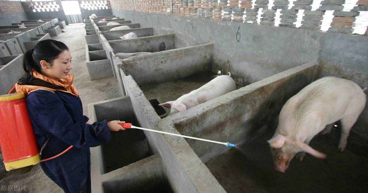 什么是传染病？它传播的关键三要素是什么？