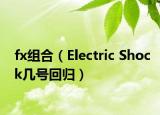 fx组合（Electric Shock几号回归）