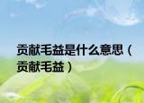 贡献毛益是什么意思（贡献毛益）