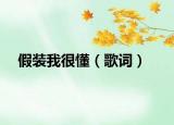 假装我很懂（歌词）
