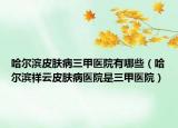 哈尔滨皮肤病三甲医院有哪些（哈尔滨祥云皮肤病医院是三甲医院）