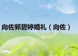 向佐郭碧婷婚礼（向佐）