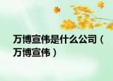 万博宣伟是什么公司（万博宣伟）