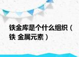 铁金库是个什么组织（铁 金属元素）