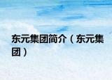 东元集团简介（东元集团）