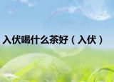 入伏喝什么茶好（入伏）