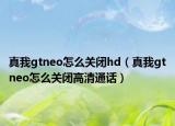 真我gtneo怎么关闭hd（真我gtneo怎么关闭高清通话）