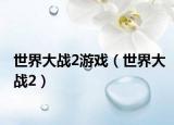 世界大战2游戏（世界大战2）