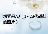 求乔丹AJ（1~23代球鞋的图片）