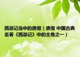 西游记当中的唐僧（唐僧 中国古典名著《西游记》中的主角之一）