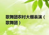 歌舞团农村大棚表演（歌舞团）