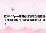 红米k30pro开发者选项怎么设置好（红米k30pro开发者选项怎么打开）