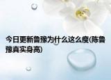 今日更新鲁豫为什么这么瘦(陈鲁豫真实身高)
