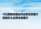 今日更新微信如何设置背景图片微信怎么设置背景图片
