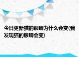 今日更新猫的眼睛为什么会变(我发现猫的眼睛会变)