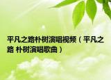 平凡之路朴树演唱视频（平凡之路 朴树演唱歌曲）