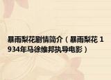 暴雨梨花剧情简介（暴雨梨花 1934年马徐维邦执导电影）