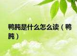 鸭肫是什么怎么读（鸭肫）