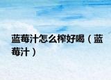 蓝莓汁怎么榨好喝（蓝莓汁）