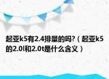 起亚k5有2.4排量的吗?（起亚k5的2.0l和2.0t是什么含义）