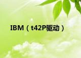 IBM（t42P驱动）