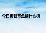 今日更新章鱼精什么梗