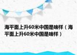 海平面上升60米中国是啥样（海平面上升60米中国是啥样）