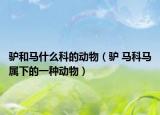 驴和马什么科的动物（驴 马科马属下的一种动物）