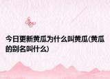 今日更新黄瓜为什么叫黄瓜(黄瓜的别名叫什么)